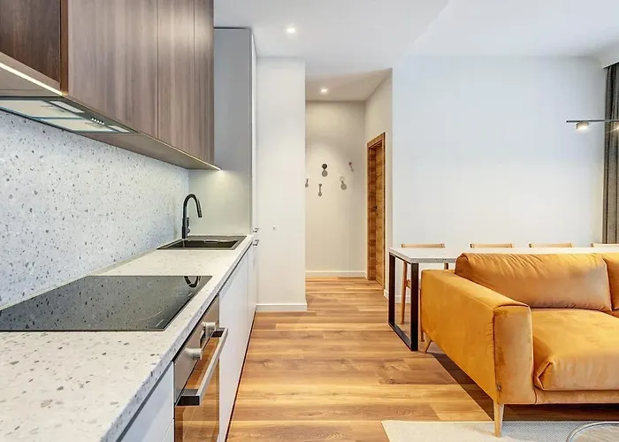 Domillion 2bdr Modern Old Town Retreat So1d וילנה